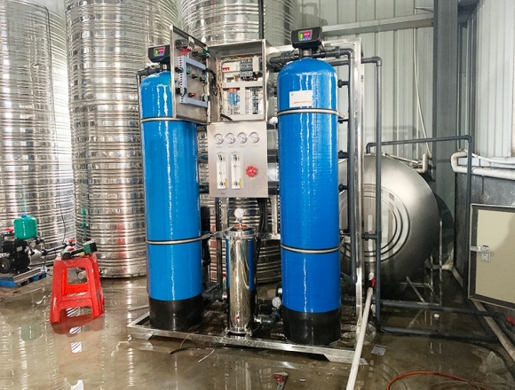 东兴某米粉厂1T/H单级反渗透纯净水设备